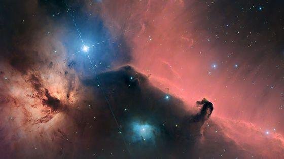 560x315_sc_gettyimages-1452769365