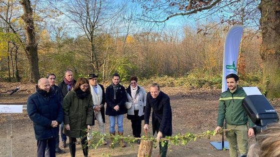 560x315_sc_operations-de-reboisement-de-la-foret-domaniale-de-meudon-2