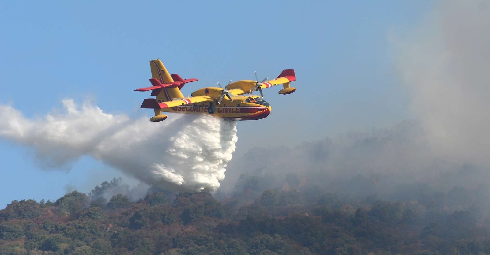 51bef2dd5b_50233595_canadair-feu-foret