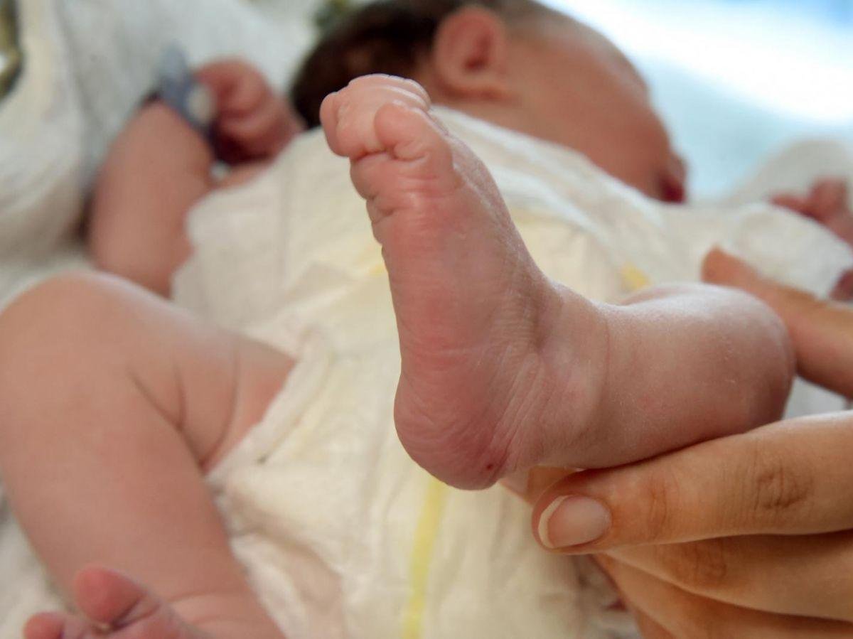 cover-r4x3w1200-68b59166de16b-afp-20241002-dpa-pa-241002-99-593694-dpai-v1-highres-maternityclinic