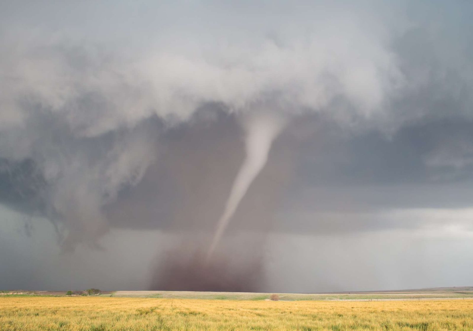 ef982c05d6_50236343_tornade-plaine