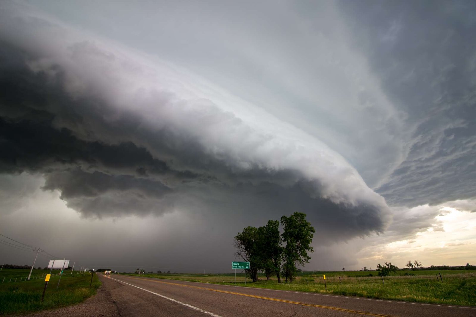 f945428a42_50236391_arcus-dan