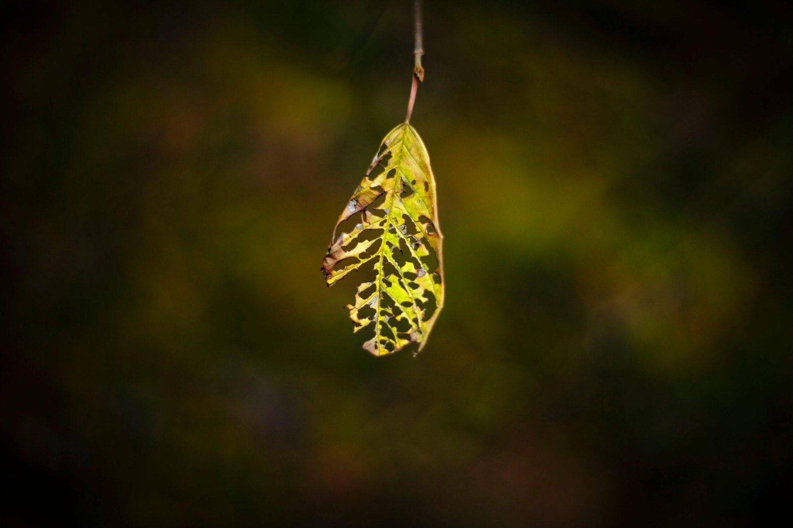 sc_sc_sc_gettyimages-879416304