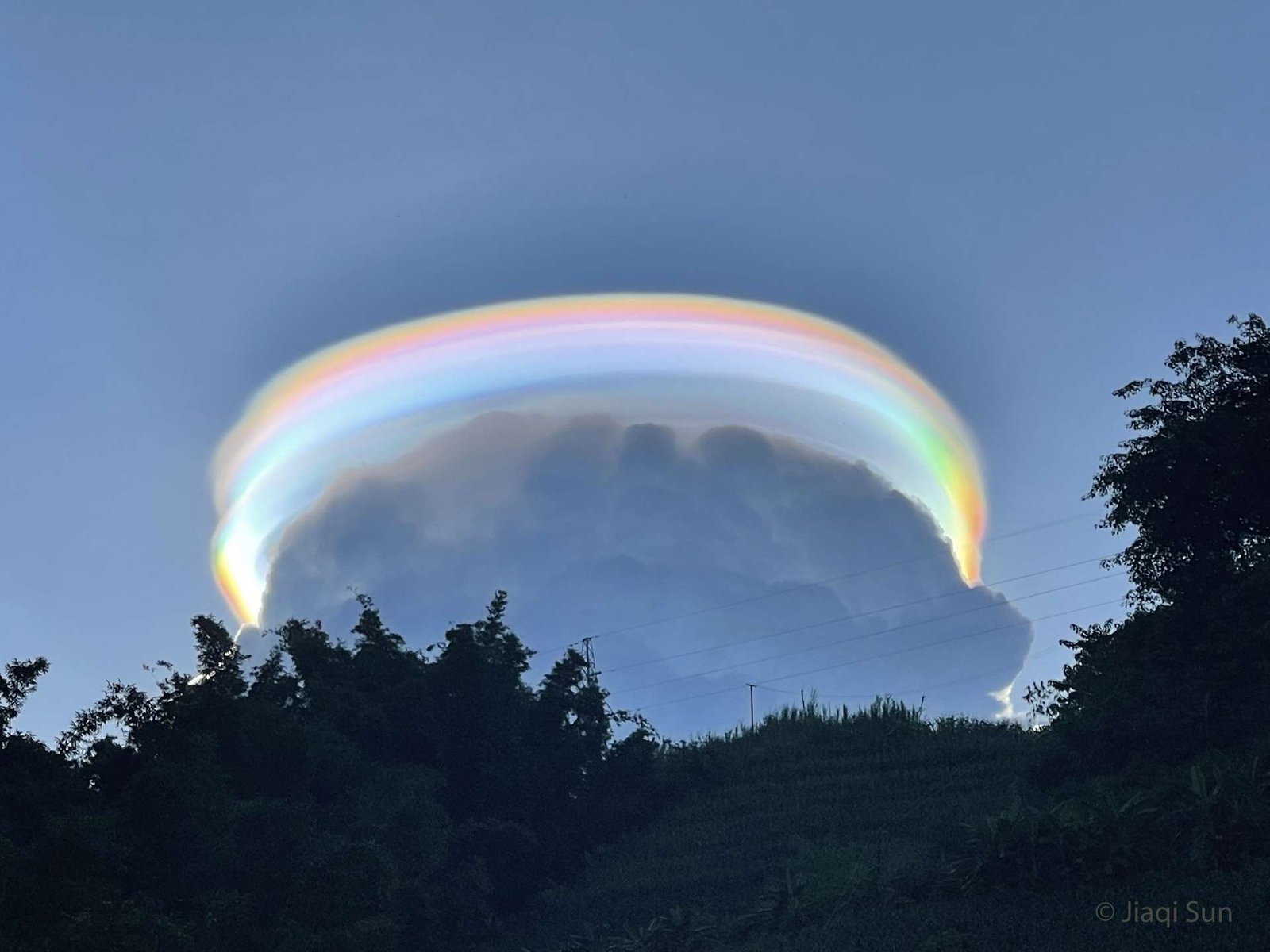087aa83603_50193131_pileus-jiaqi-4032