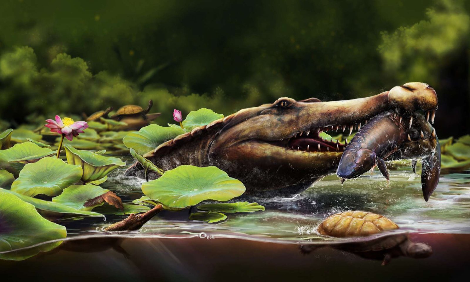 9146d96347_50245022_crocodile-long-museau