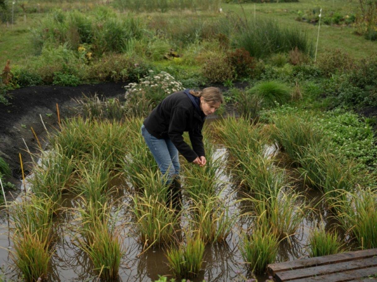 cover-r4x3w1200-69046723d2b2a-e156510a5914832dabc84855be7b907ef27ef168-jpg