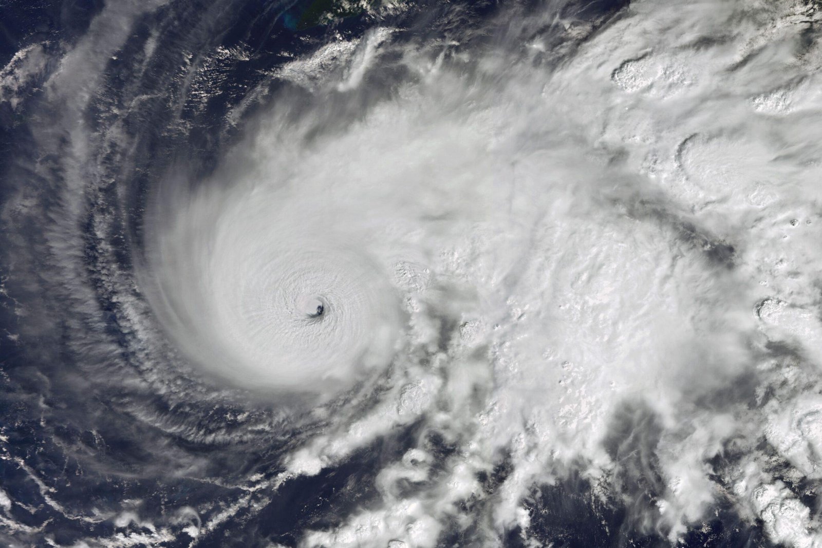 sc_gettyimages-2243929099