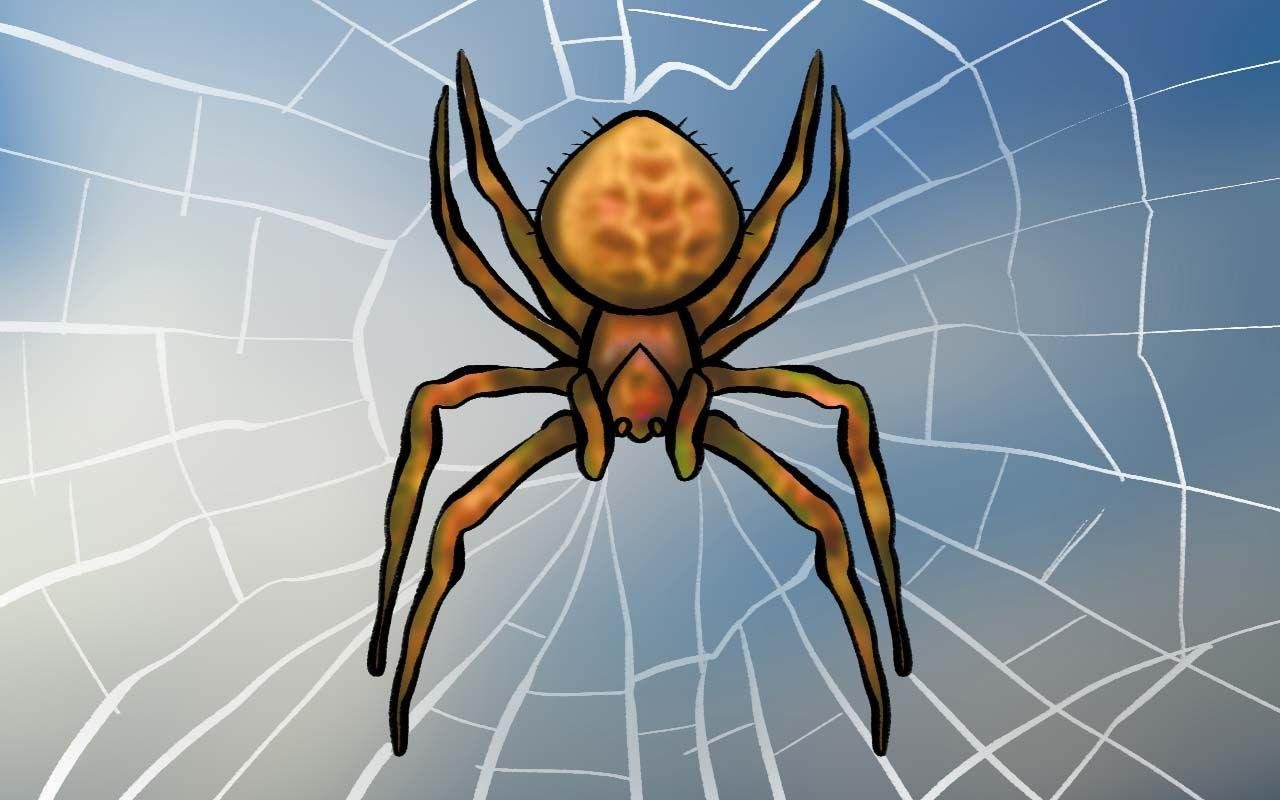 sc_nl-question-science